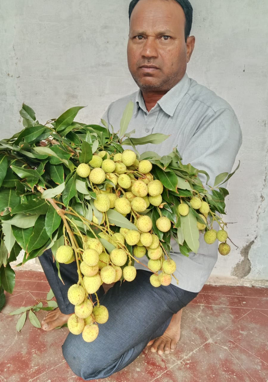 Sustainable Farming in Rajasthan