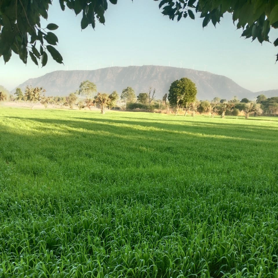 Photo Shoot Location in Rajasthan