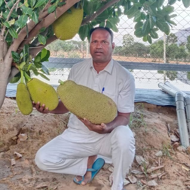 Sher Singh - Bhagwan Agro Tourism Rajasthan
